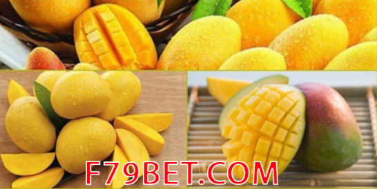 NằM Mơ THấY XOàI đáNH CON Gì? Ý NGHĩA GIấC Mơ THấY TRáI XOàI